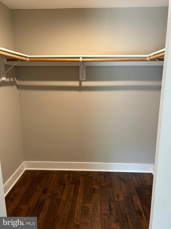 1346 Lakeshore Dr N, Louisa, VA 23093 - walk in closet featuring dark wood-style flooring