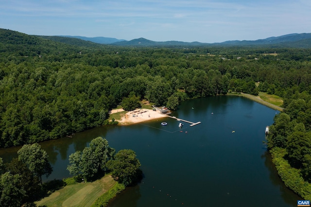 80 Beech Dr, Wintergreen Resort, VA 22967 - photo 11