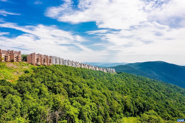 80 Beech Dr, Wintergreen Resort, VA 22967 - photo 12