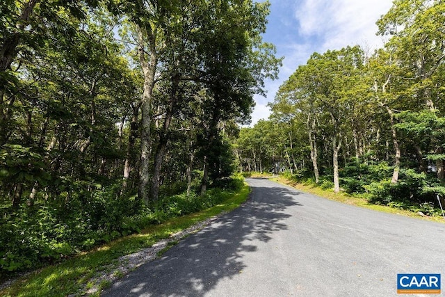 80 Beech Dr, Wintergreen Resort, VA 22967 - photo 1