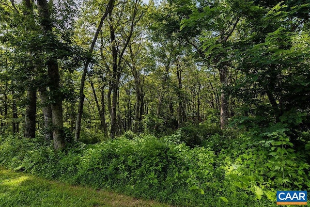 80 Beech Dr, Wintergreen Resort, VA 22967 - photo 8
