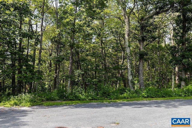80 Beech Dr, Wintergreen Resort, VA 22967 - photo 2