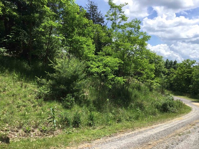 TBD Route 23, Brandywine, WV 26802