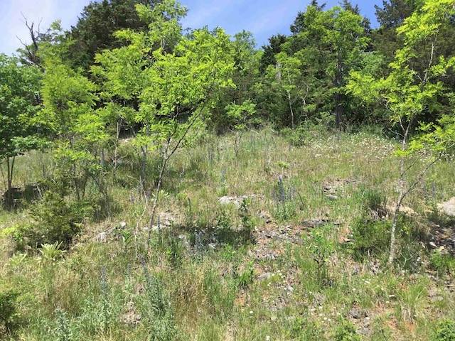 TBD Route 23, Brandywine, WV 26802