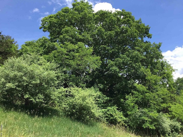 TBD Route 23, Brandywine, WV 26802