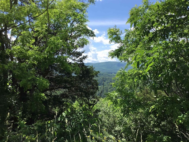 TBD Route 23, Brandywine, WV 26802