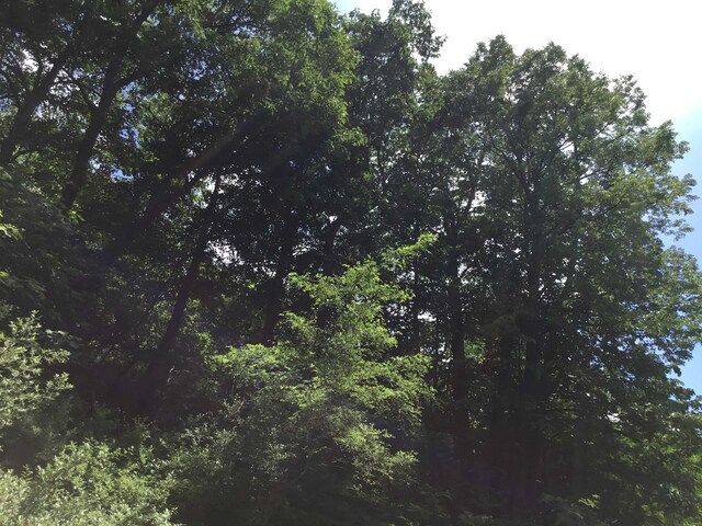 TBD Route 23, Brandywine, WV 26802