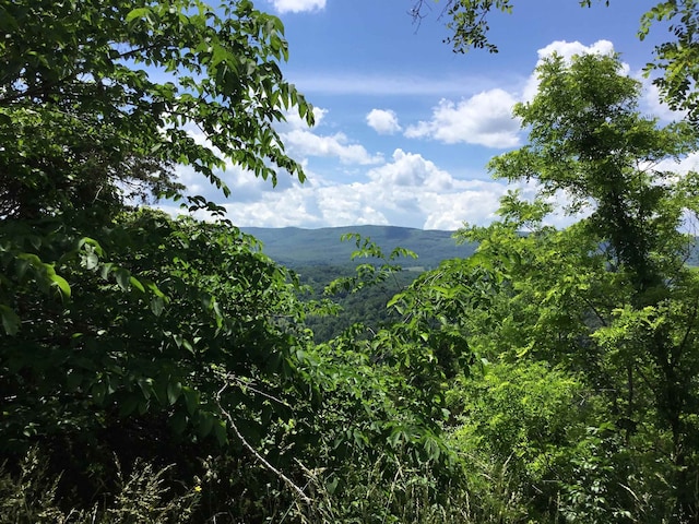 TBD Route 23, Brandywine, WV 26802