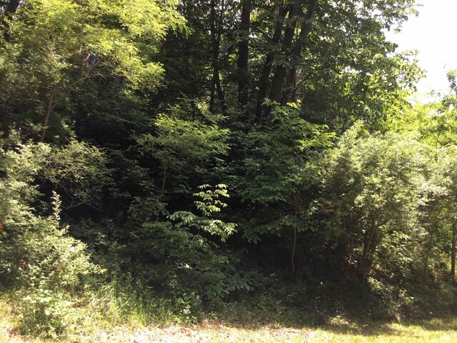TBD Route 23, Brandywine, WV 26802