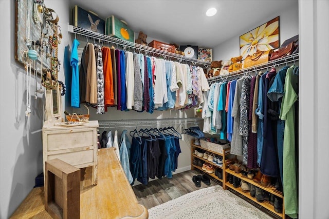 7 Oak View Dr, Staunton, VA 24401 - spacious closet with wood finished floors