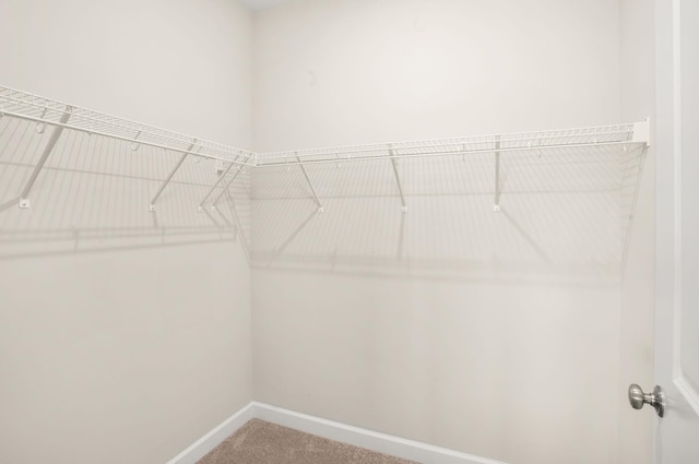 2892 Rutlege Rd Unit 177, Rockingham, VA 22801 - spacious closet with carpet flooring