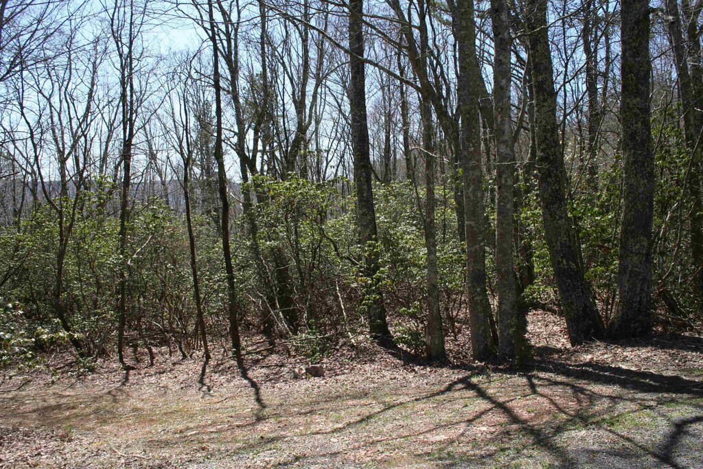 TBDSummitDr. N Summit Drive N, Monterey, VA 24465