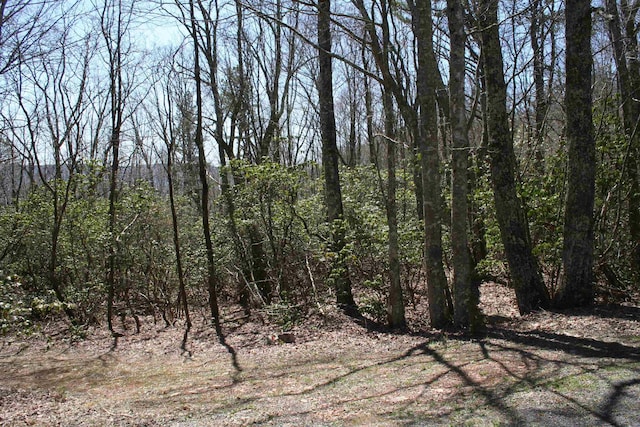 TBDSummitDr. N Summit Drive N, Monterey, VA 24465
