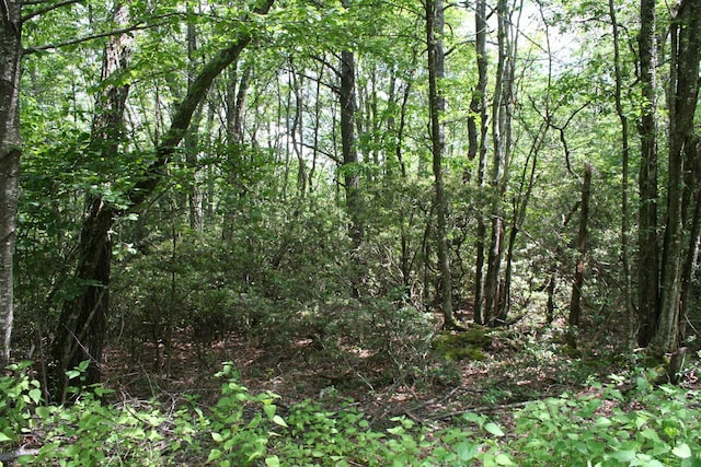 TBDSummitDr. Summit Drive N, Monterey, VA 24465