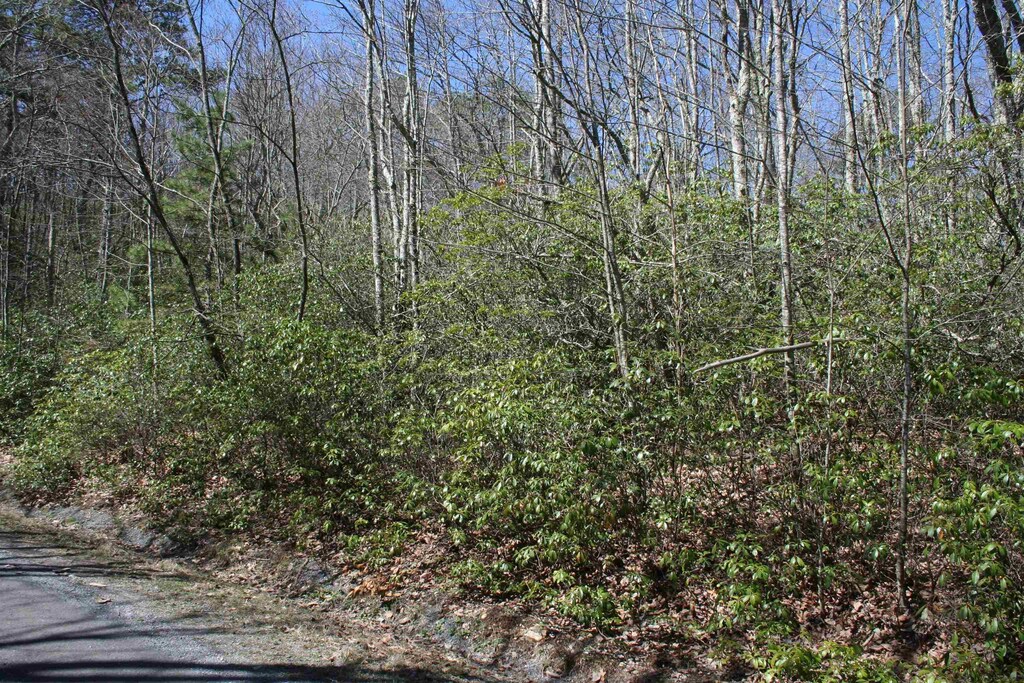 TBDSummitDr. N Summit Drive N, Monterey, VA 24465