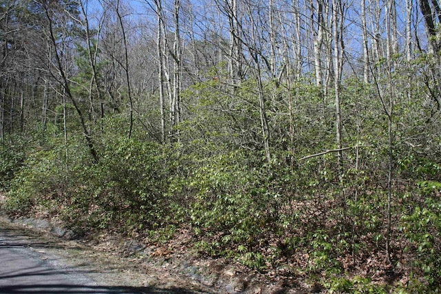 TBDSummitDr. N Summit Drive N, Monterey, VA 24465