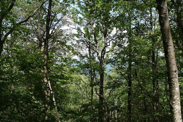 TBDSummitDr. Summit Drive N, Monterey, VA 24465