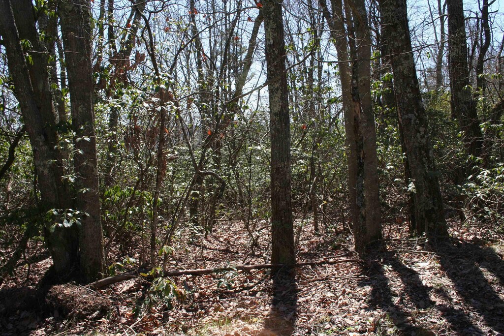 TBDSummitDr. N Summit Drive N, Monterey, VA 24465