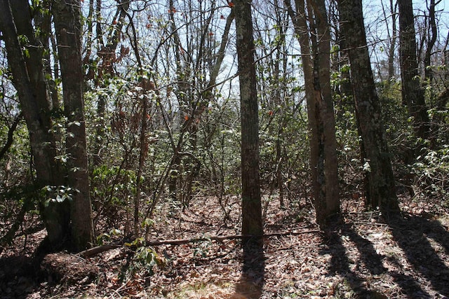 TBDSummitDr. N Summit Drive N, Monterey, VA 24465