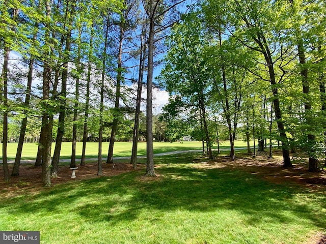 11208 Valor Bridge Dr, Spotsylvania, VA 22551 - view of yard