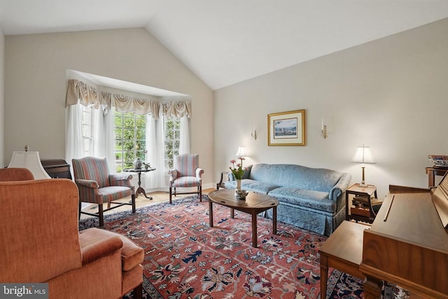 11208 Valor Bridge Dr, Spotsylvania, VA 22551 - living area featuring high vaulted ceiling