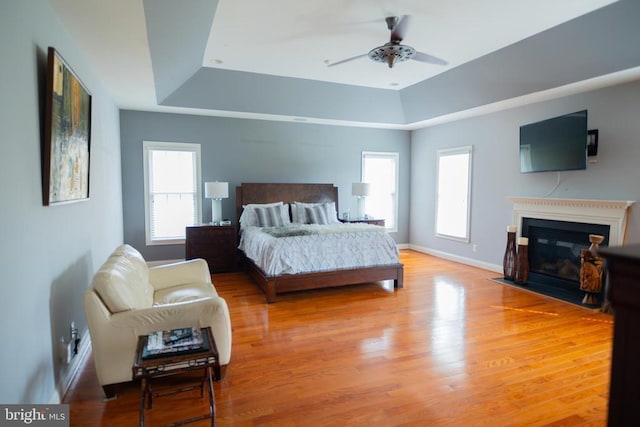 32314 Deep Meadow Ln, Locust Grove, VA 22508 - bedroom with a raised ceiling, a fireplace with flush hearth, and wood finished floors