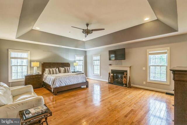 32314 Deep Meadow Ln, Locust Grove, VA 22508 - bedroom with a tray ceiling, multiple windows, a fireplace with flush hearth, wood finished floors, and recessed lighting