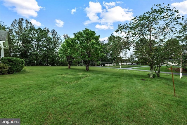 9309 Old Tpke, Culpeper, VA 22701 - view of green lawn featuring view of wooded area