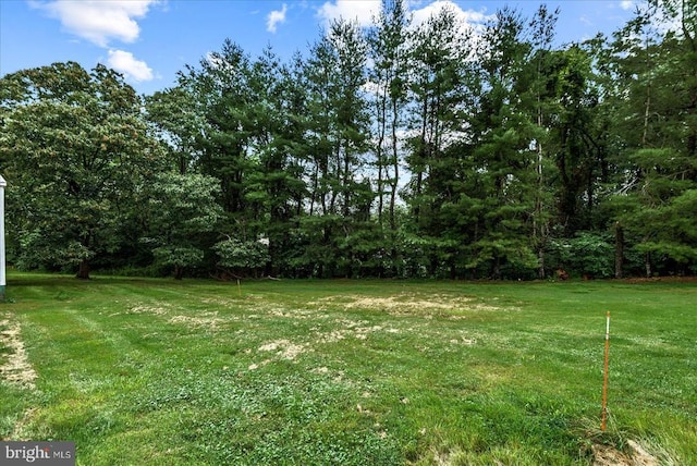 9309 Old Tpke, Culpeper, VA 22701 - view of green lawn with a forest view