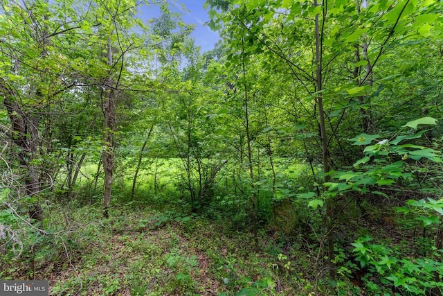 10614 Rhoads Dr, Fredericksburg, VA 22407 - view of woods