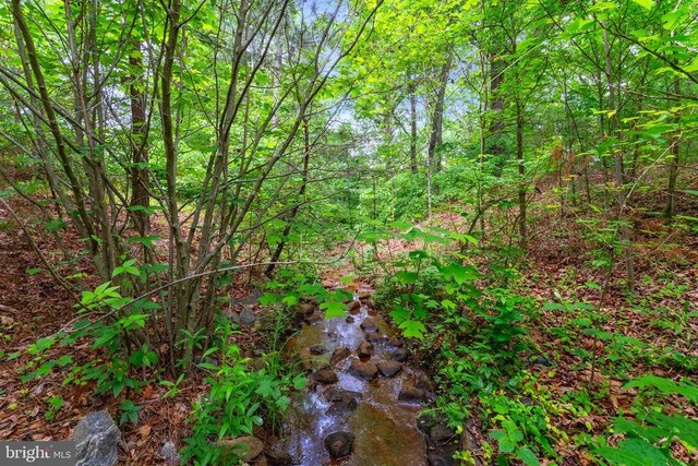 10614 Rhoads Dr, Fredericksburg, VA 22407 - view of undeveloped land