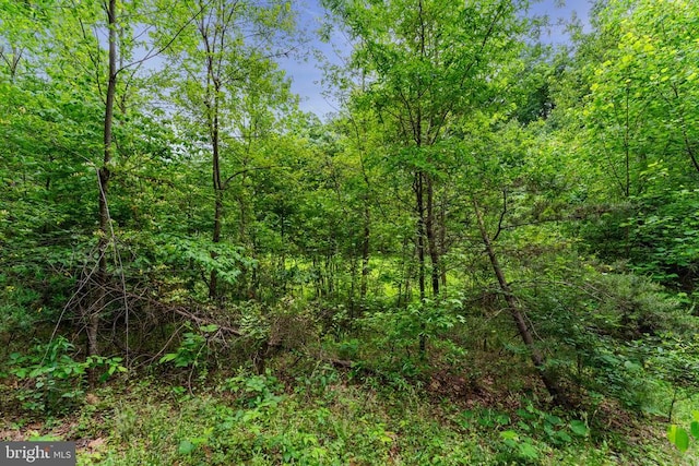 10614 Rhoads Dr, Fredericksburg, VA 22407 - view of woods