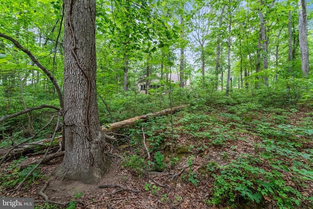 10614 Rhoads Dr, Fredericksburg, VA 22407 - view of tree filled area