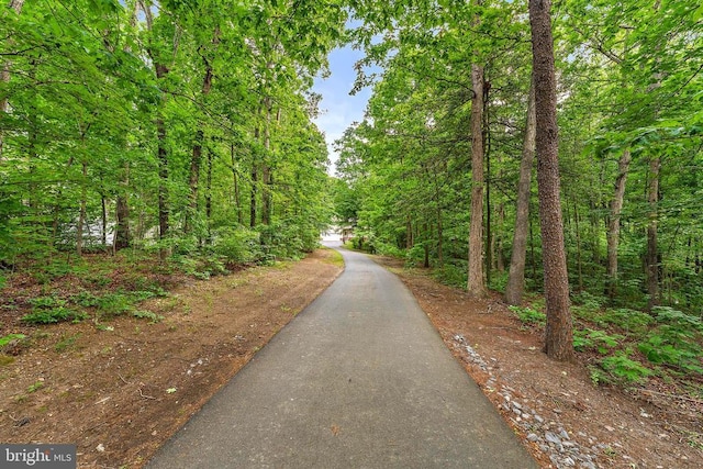 10614 Rhoads Dr, Fredericksburg, VA 22407 - view of street with a wooded view