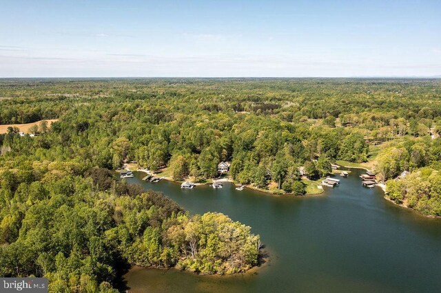 326 Anna Highview, Bumpass, VA 23024 - aerial view of a forest and a nearby body of water