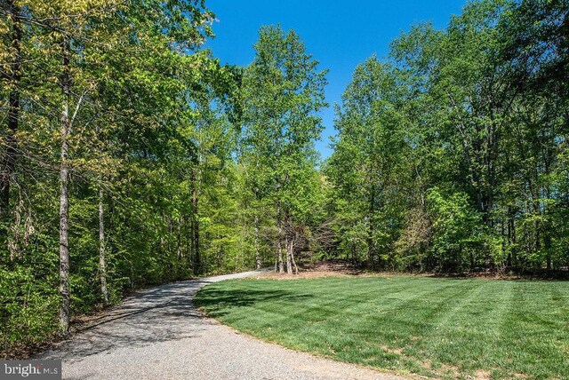 326 Anna Highview, Bumpass, VA 23024 - view of street with a wooded view