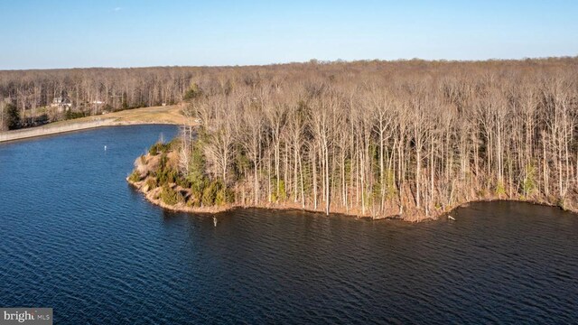 8602 Rosni Way, Fredericksburg, VA 22407 - photo 3