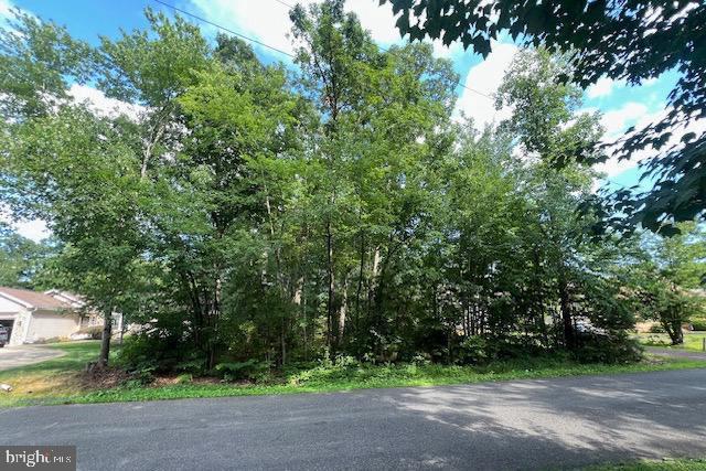 507 Liberty Blvd, Locust Grove, VA 22508
