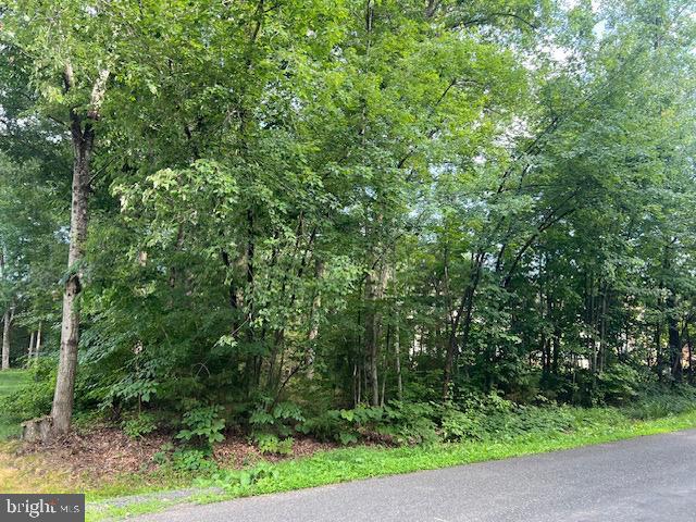 507 Liberty Blvd, Locust Grove, VA 22508