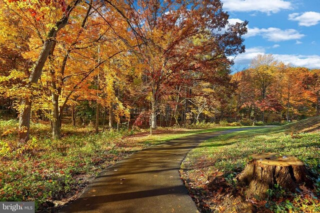 surrounding community featuring a wooded view