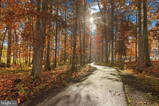 view of road featuring a wooded view