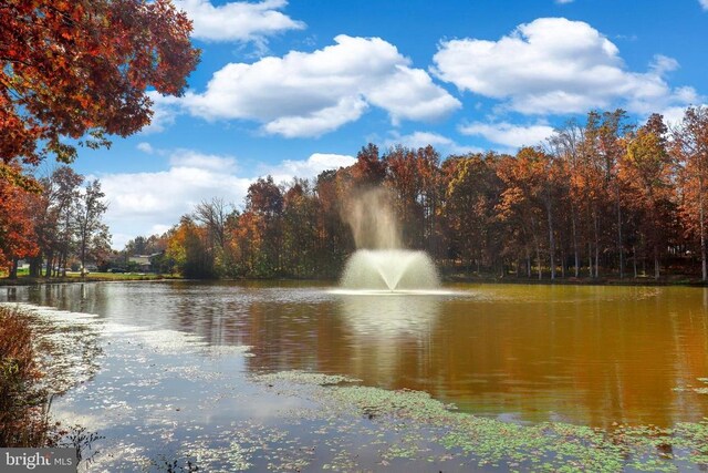 water view featuring a heavily wooded area