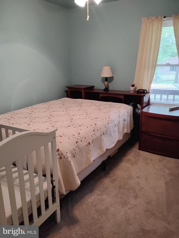 view of carpeted bedroom