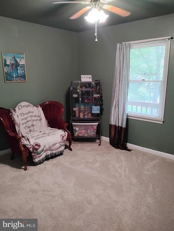 living area featuring ceiling fan, carpet, and baseboards