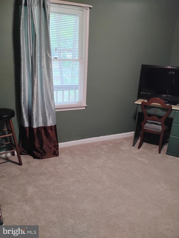 3702 Lakeview Pkwy, Locust Grove, VA 22508 - photo 14