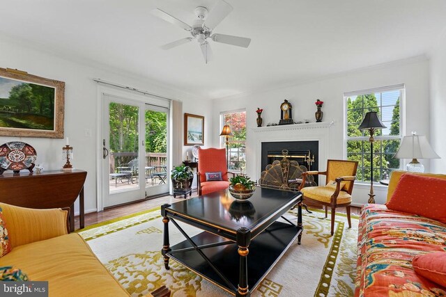 living area featuring a glass covered fireplace, healthy amount of natural light, ceiling fan, and wood finished floors