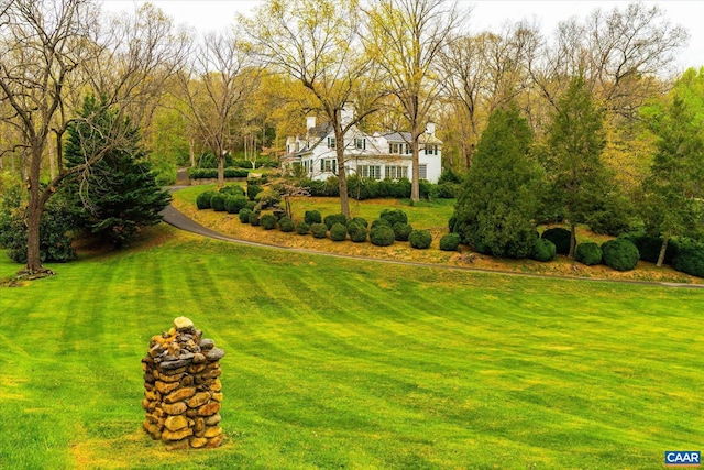 3220 Longdale Furnace Rd, Clifton Forge, VA 24422 - view of green lawn