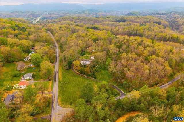 3220 Longdale Furnace Rd, Clifton Forge, VA 24422 - view of property location featuring a forest and a mountainous background