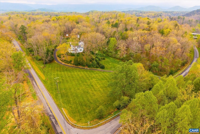 3220 Longdale Furnace Rd, Clifton Forge, VA 24422 - bird's eye view of a forest and a mountain backdrop