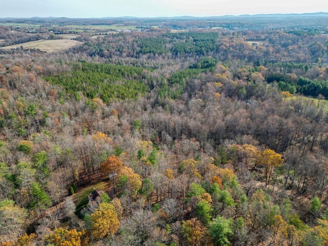 TBD Seville Rd, Rochelle, VA 22738